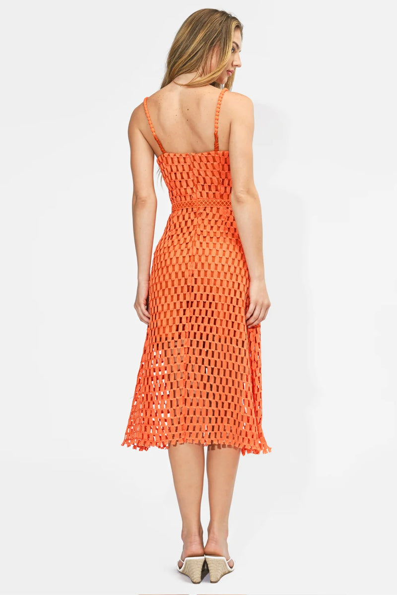 adelyn rae dresses Charlotte Lace Contrast Maxi Dress Zip Back Adelyn Rae (Dillards) Midi Dress
