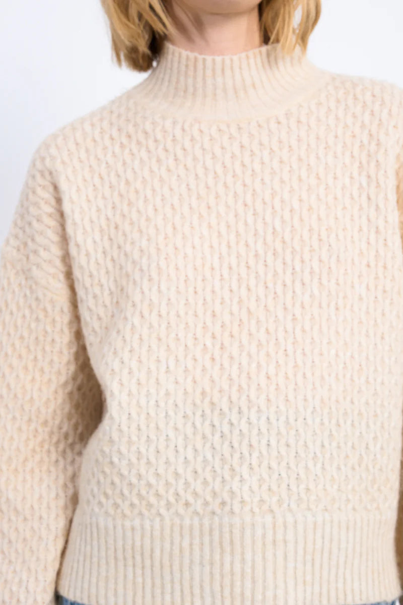 Turtleneck Knitted Sweater