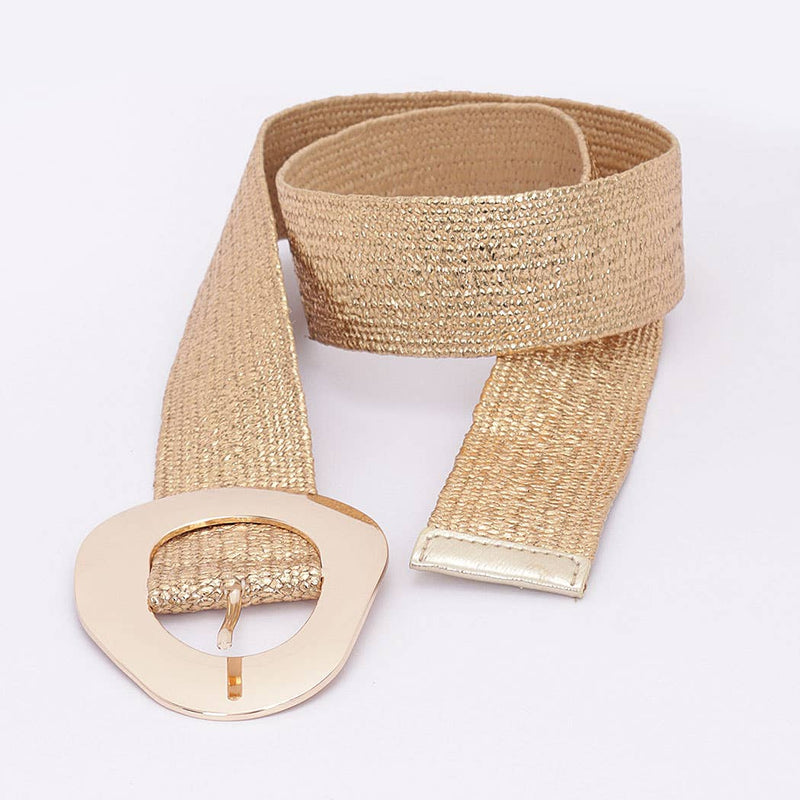 Vintage Metal Buckle Metallic Stretch Straw Belt