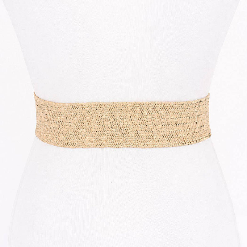 Metal Buckle Elastic Faux Straw Belt