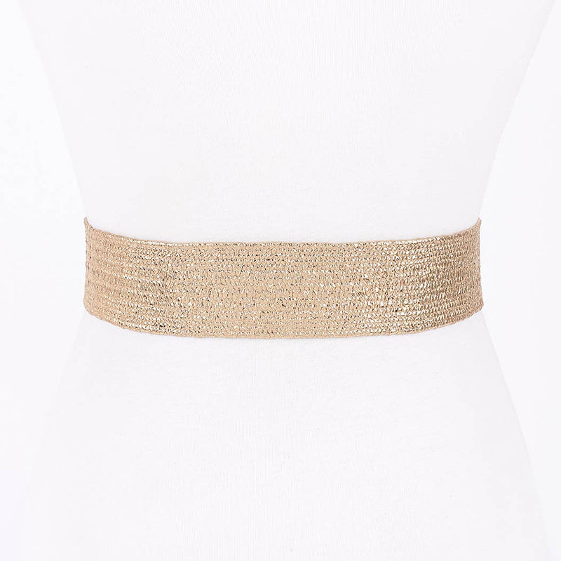 Vintage Metal Buckle Metallic Stretch Straw Belt