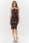 adelyn rae Jade Woven Lace Tube Dress