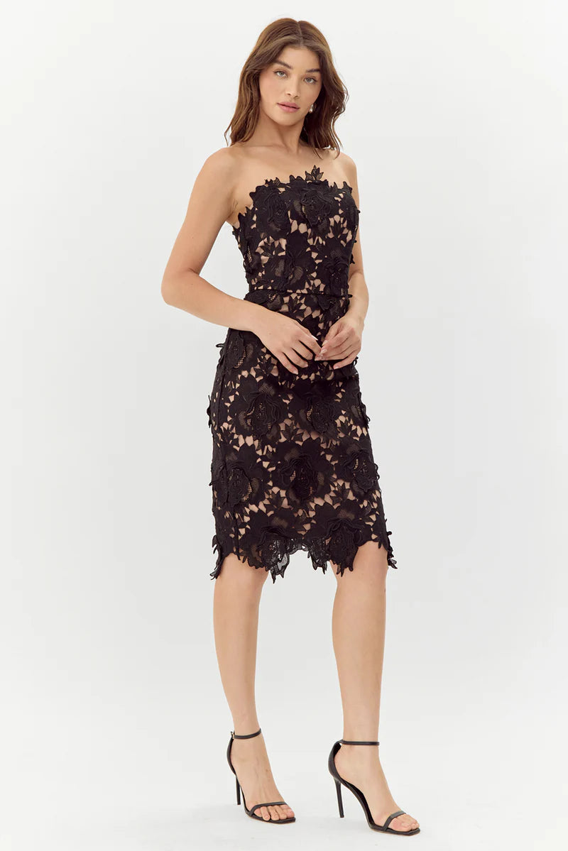 adelyn rae Jade Woven Lace Tube Dress