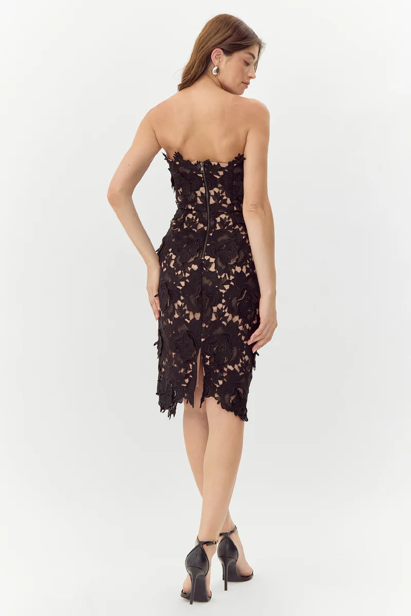 adelyn rae Jade Woven Lace Tube Dress