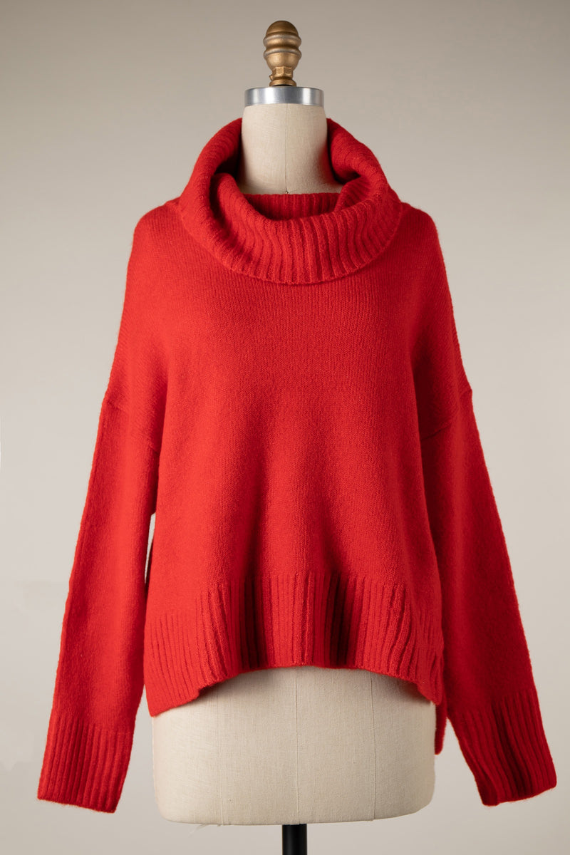 Wide Turtleneck Knit Crop Sweater