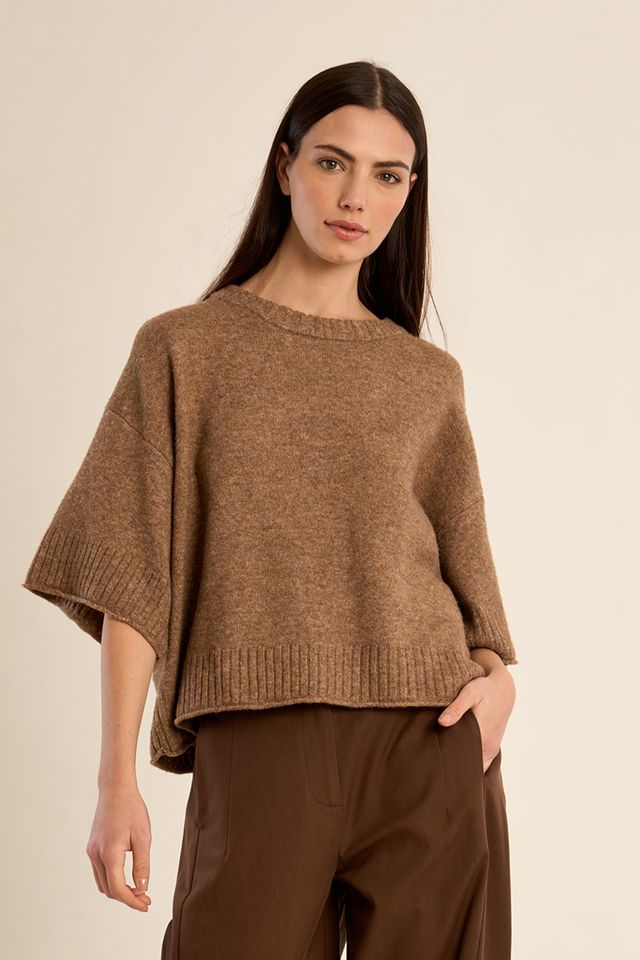 Camel