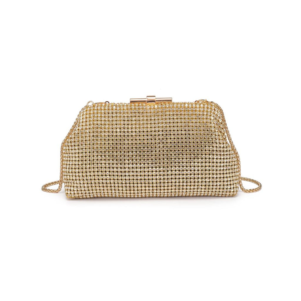 Delfina Evening Bag in black rhinestone mesh with detachable chain strap and clasp closure — elegant clutch available at TandyWear Boutique in Commack, NY.