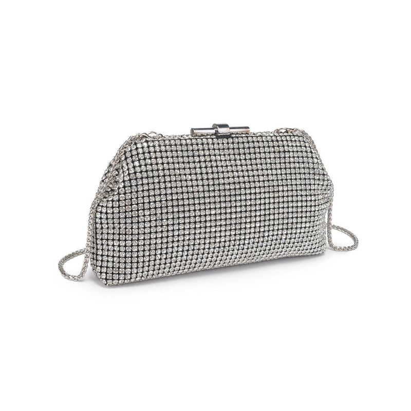 Delfina Evening Bag in silver rhinestone mesh with detachable chain strap and clasp closure — elegant clutch available at TandyWear Boutique in Commack, NY.